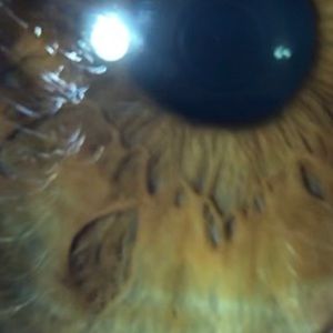 Meet your Posher, Maxwell